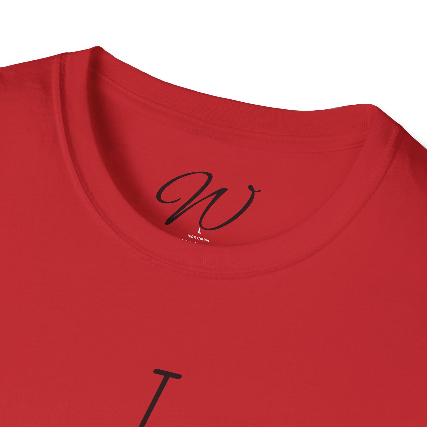 I Wrote That!” + “I Swear…!” Tee Double-Sided Witticker Classic