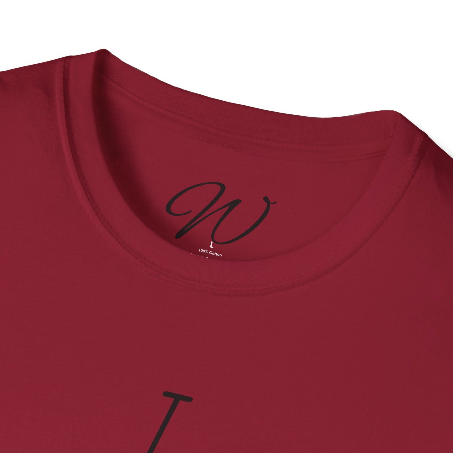 I Wrote That!” + “I Swear…!” Tee Double-Sided Witticker Classic
